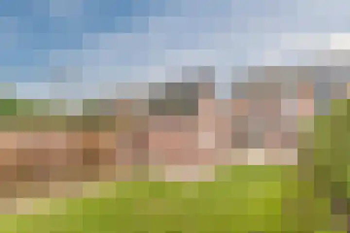 Vossenhof 6 Hooge Mierde foto 2