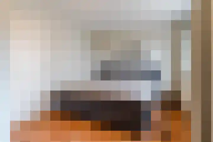 Vossenhof 6 Hooge Mierde thumbnail 24