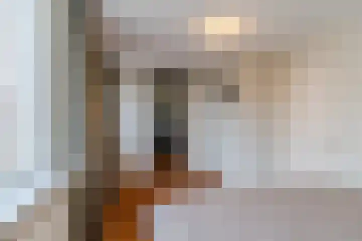 Vossenhof 6 Hooge Mierde thumbnail 25