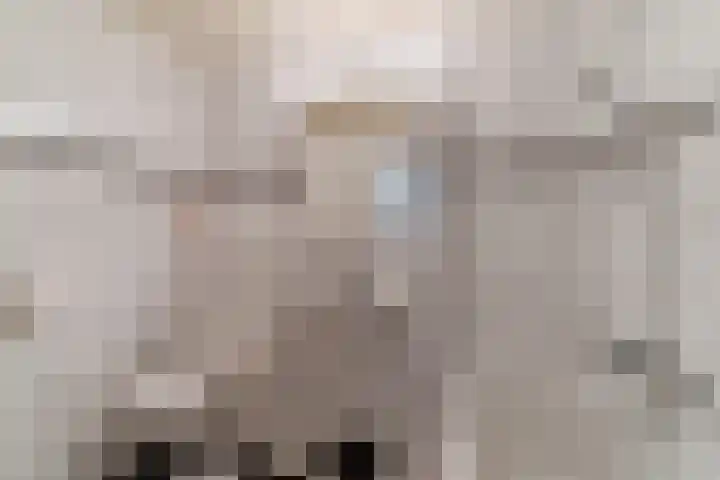Vossenhof 6 Hooge Mierde thumbnail 30