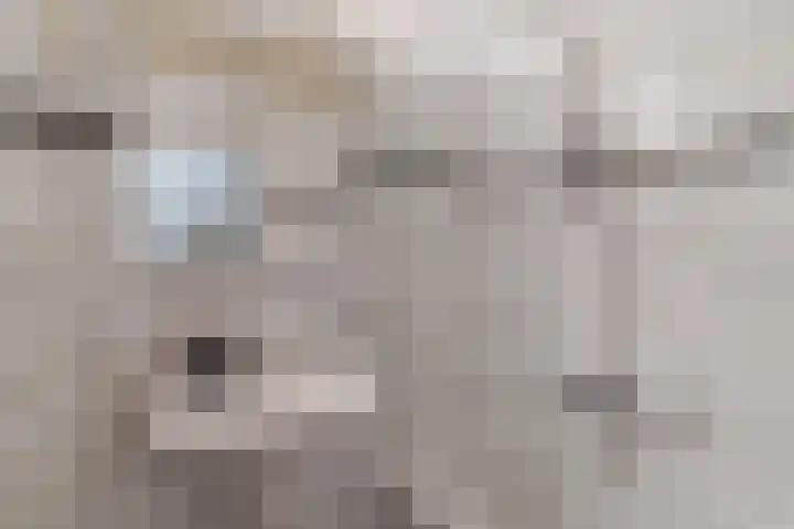 Vossenhof 6 Hooge Mierde thumbnail 31