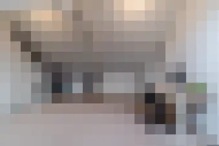 Vossenhof 6 Hooge Mierde thumbnail 36