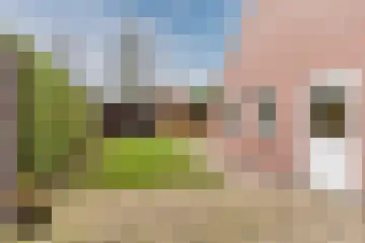 Vossenhof 6 Hooge Mierde thumbnail 37