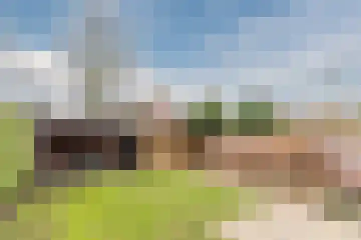 Vossenhof 6 Hooge Mierde thumbnail 38