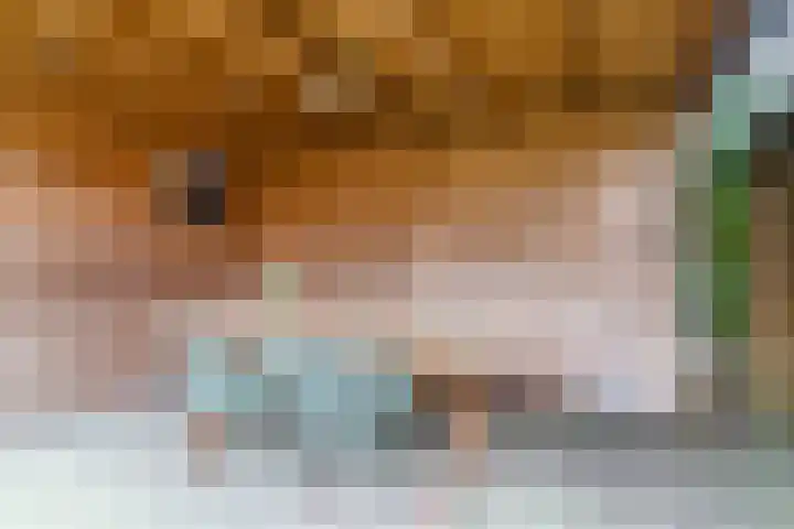 Vossenhof 6 Hooge Mierde thumbnail 41
