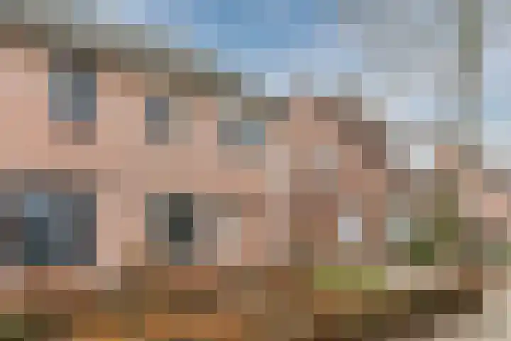 Vossenhof 6 Hooge Mierde thumbnail 47