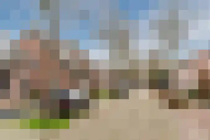 Vossenhof 6 Hooge Mierde thumbnail 51
