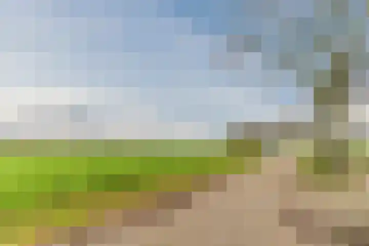 Vossenhof 6 Hooge Mierde thumbnail 54