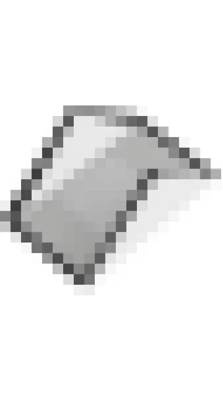Vossenhof 6 Hooge Mierde thumbnail 69