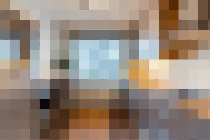 Vossenhof 6 Hooge Mierde thumbnail 8