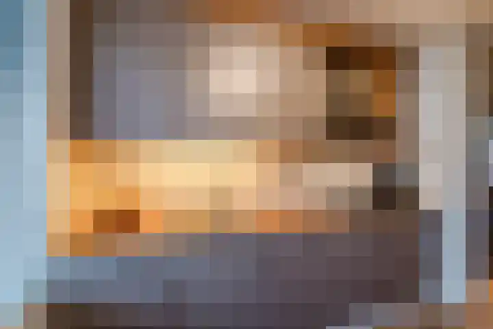 Vossenhof 6 Hooge Mierde thumbnail 9