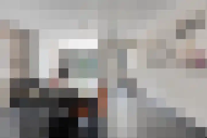 Vossenhof 8 Hooge Mierde thumbnail 10