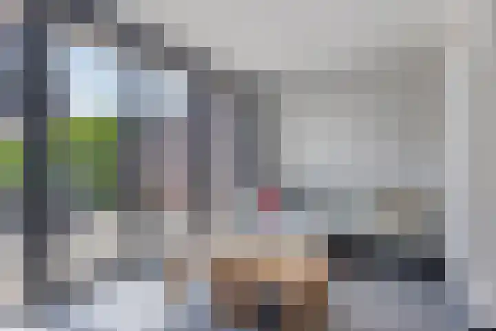 Vossenhof 8 Hooge Mierde thumbnail 15