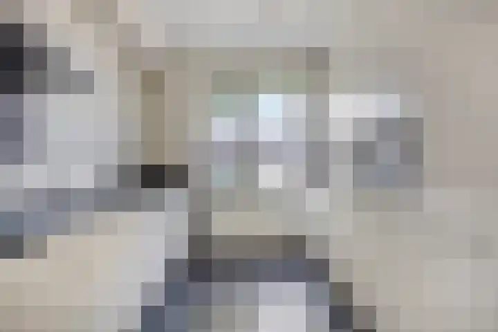 Vossenhof 8 Hooge Mierde thumbnail 19