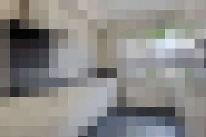 Vossenhof 8 Hooge Mierde thumbnail 20