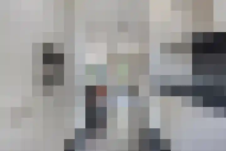 Vossenhof 8 Hooge Mierde thumbnail 21
