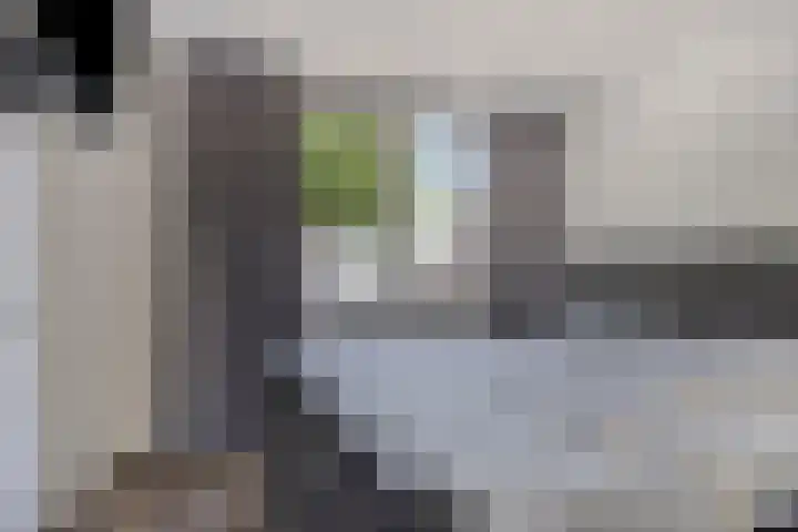 Vossenhof 8 Hooge Mierde thumbnail 27