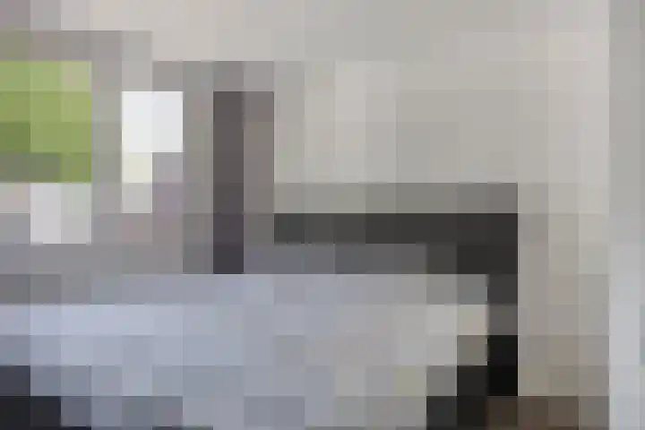 Vossenhof 8 Hooge Mierde thumbnail 28