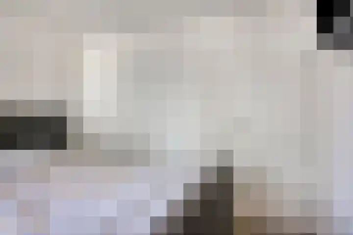Vossenhof 8 Hooge Mierde thumbnail 30