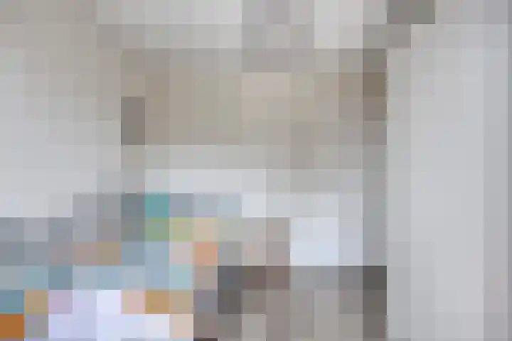 Vossenhof 8 Hooge Mierde thumbnail 32