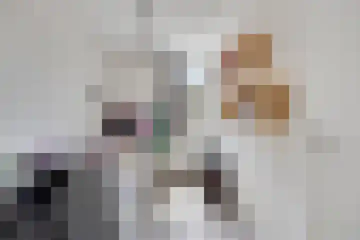 Vossenhof 8 Hooge Mierde thumbnail 33