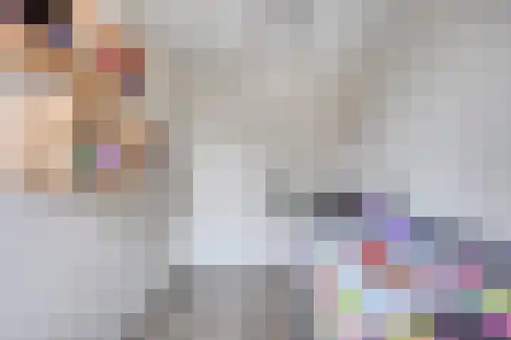 Vossenhof 8 Hooge Mierde thumbnail 34