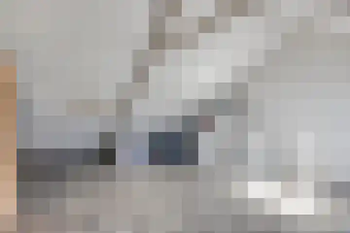 Vossenhof 8 Hooge Mierde thumbnail 38