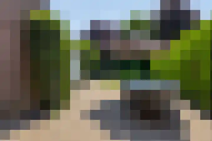 Vossenhof 8 Hooge Mierde thumbnail 40