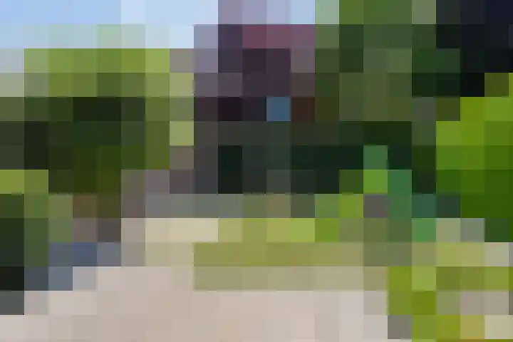 Vossenhof 8 Hooge Mierde thumbnail 41