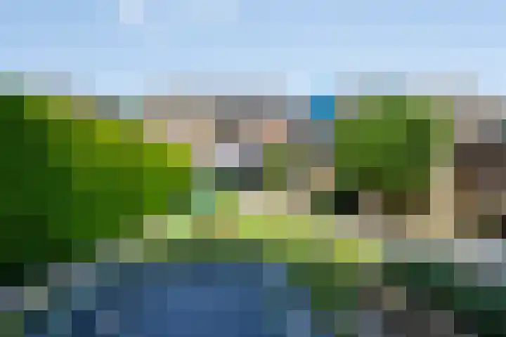 Vossenhof 8 Hooge Mierde thumbnail 42