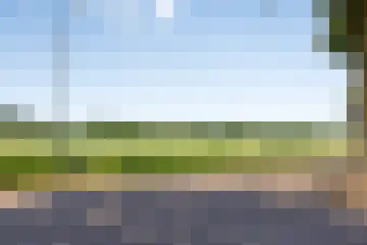 Vossenhof 8 Hooge Mierde thumbnail 44