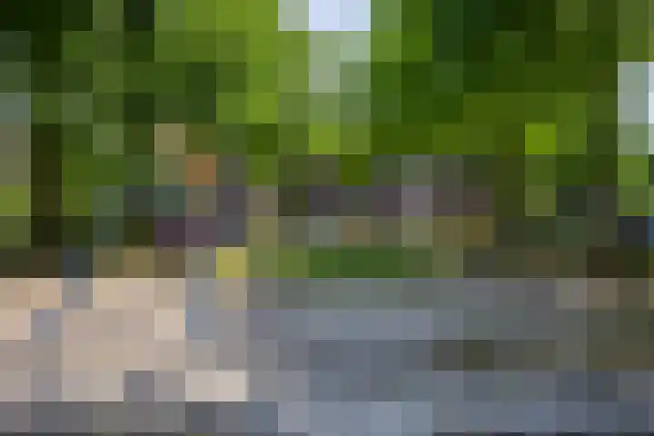 Vossenhof 8 Hooge Mierde thumbnail 45