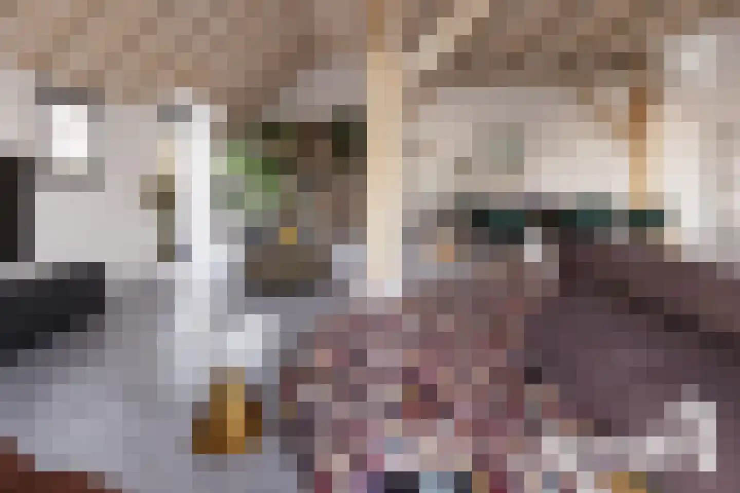 Vossenhol 16 Bemmel thumbnail 4