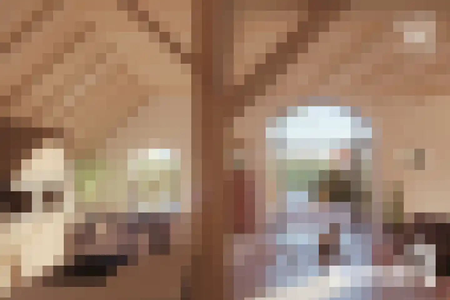 Vossenhol 16 Bemmel thumbnail 5