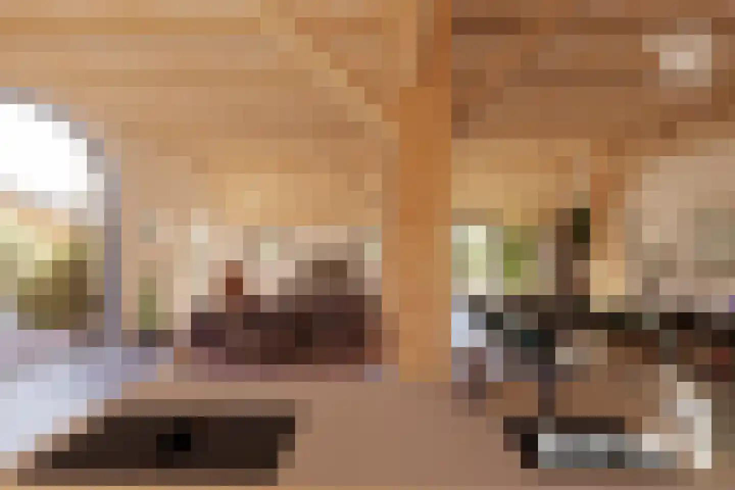 Vossenhol 16 Bemmel thumbnail 6