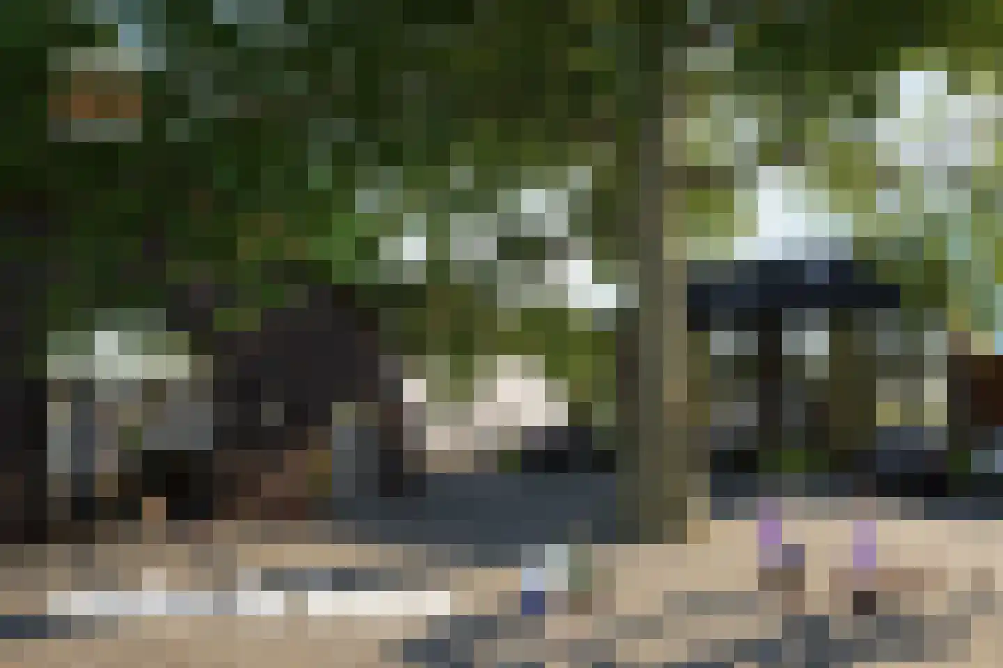 Vossenhol 16 Bemmel thumbnail 7
