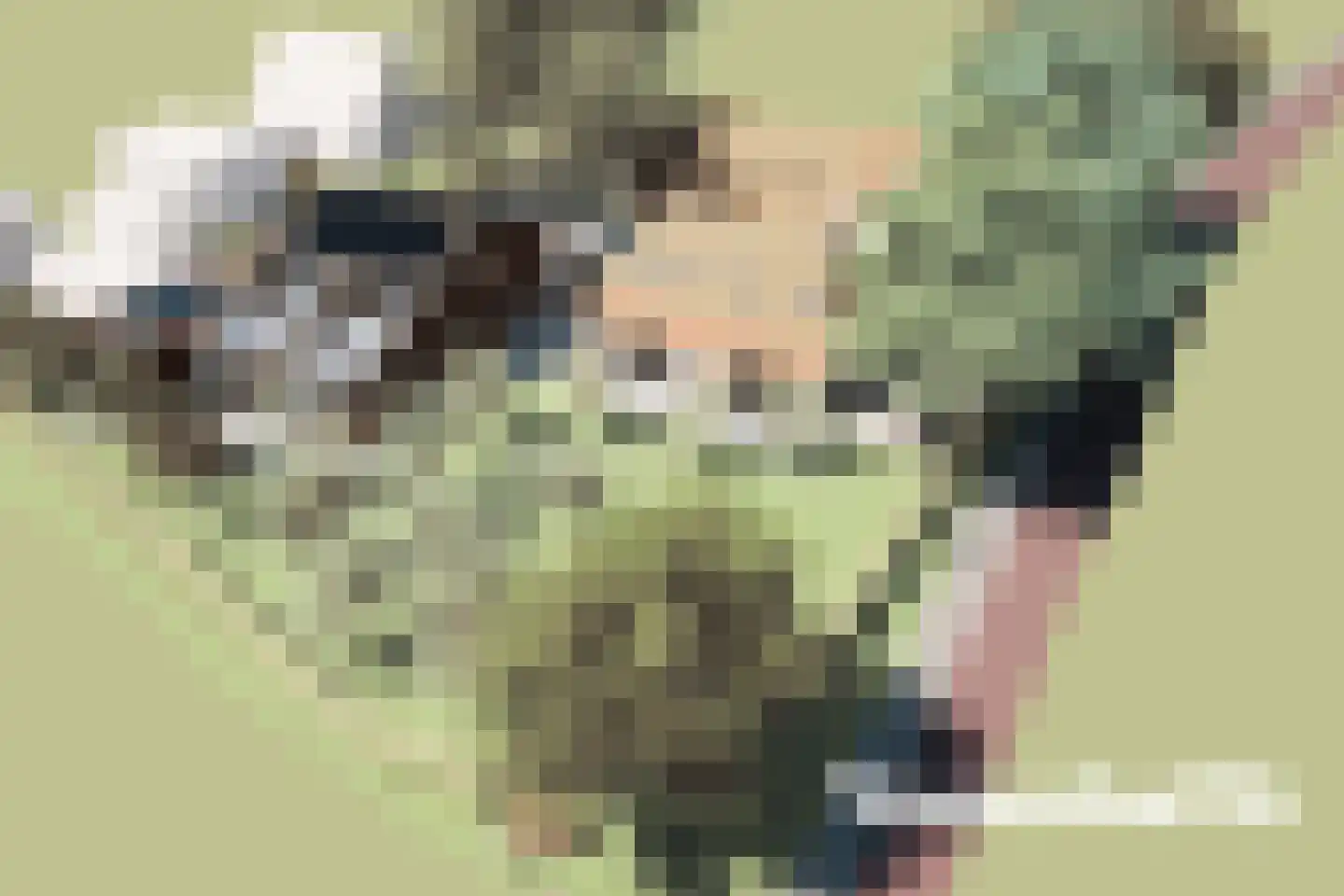 Vossenhol 16 Bemmel thumbnail 8