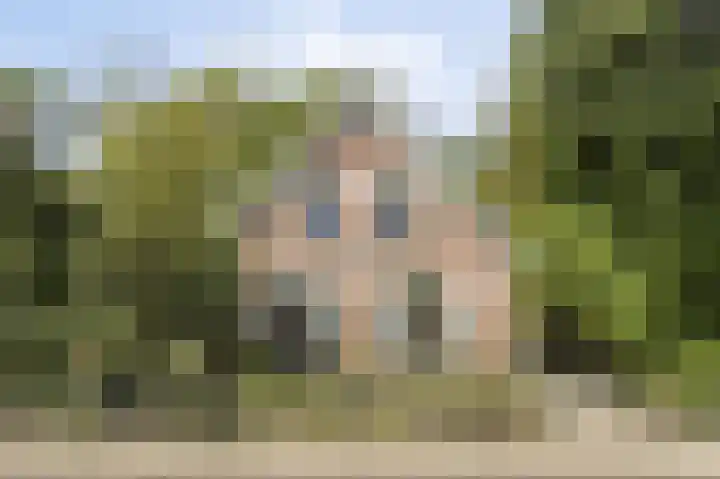 Vossenhol 20 Bemmel