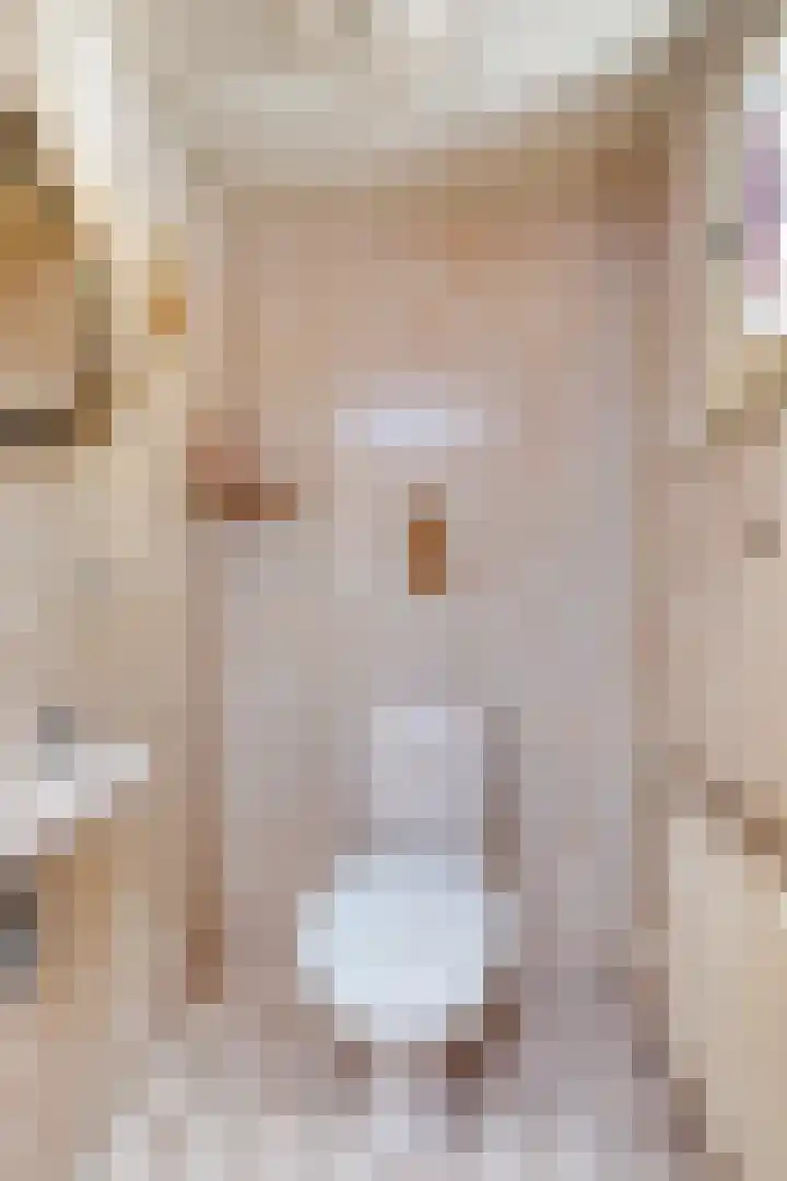 Vossenhol 20 Bemmel thumbnail 11
