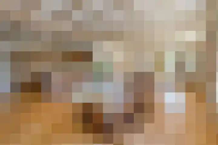 Vossenhol 20 Bemmel thumbnail 20