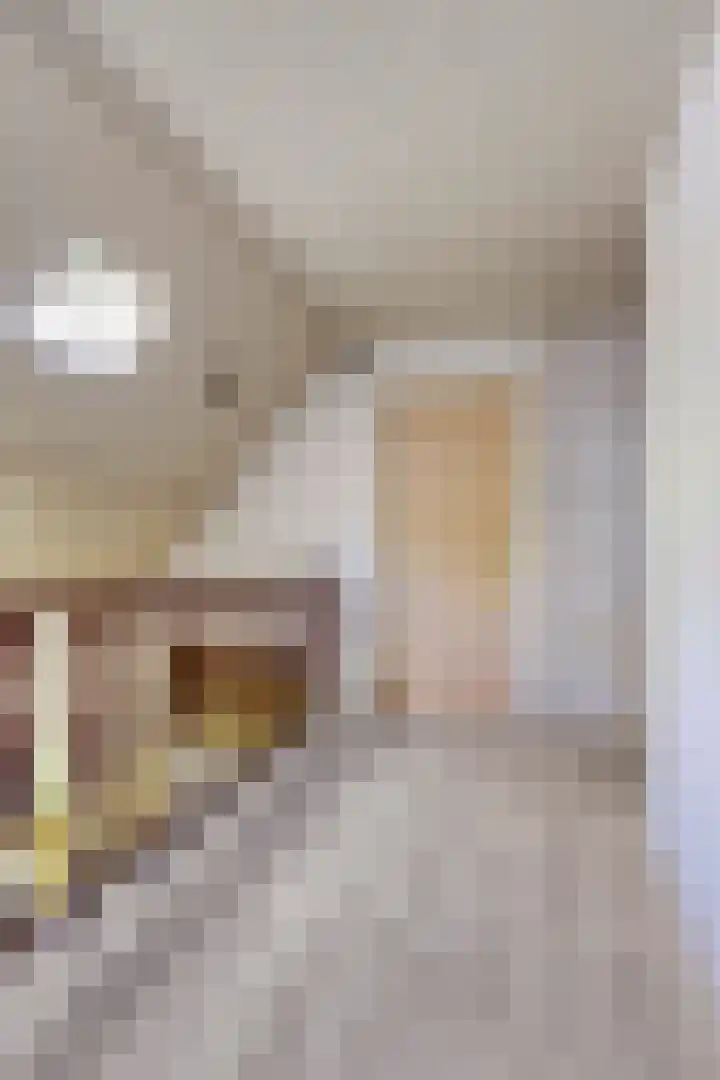 Vossenhol 20 Bemmel thumbnail 25