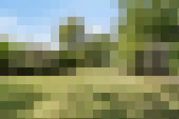 Vossenhol 20 Bemmel thumbnail 35