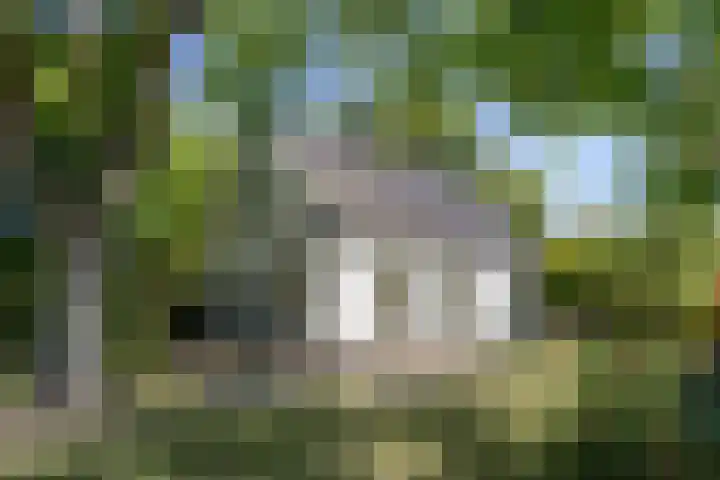 Vossenhol 20 Bemmel thumbnail 39