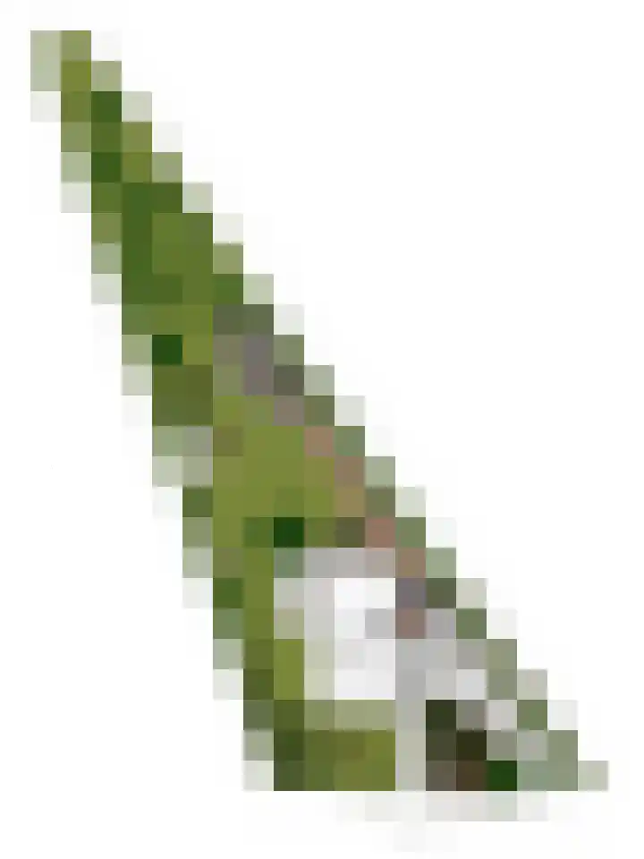 Vossenhol 20 Bemmel thumbnail 42