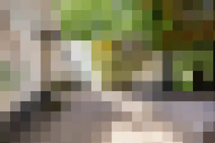 Vossenhol 20 Bemmel thumbnail 6