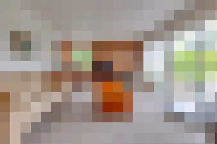 Vossenkamp 11 Winschoten thumbnail 11
