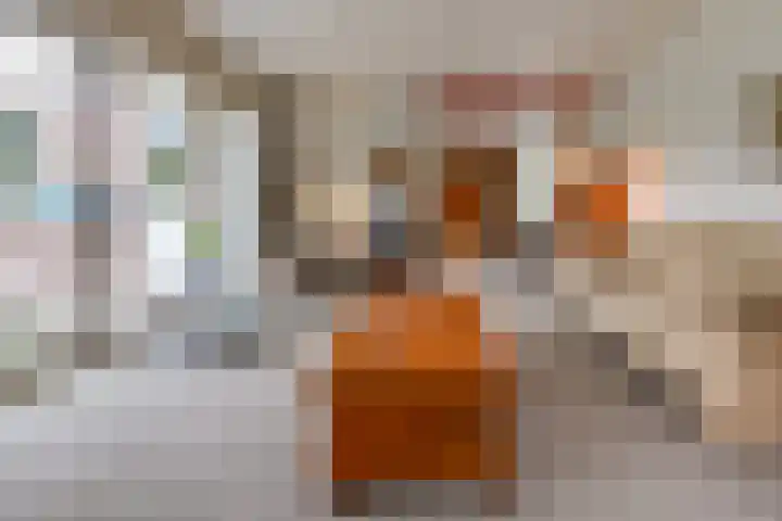 Vossenkamp 11 Winschoten thumbnail 13