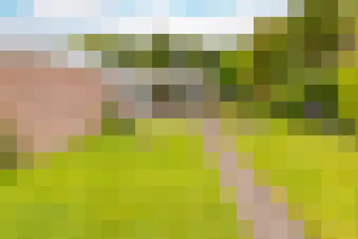 Vossenkamp 11 Winschoten thumbnail 33