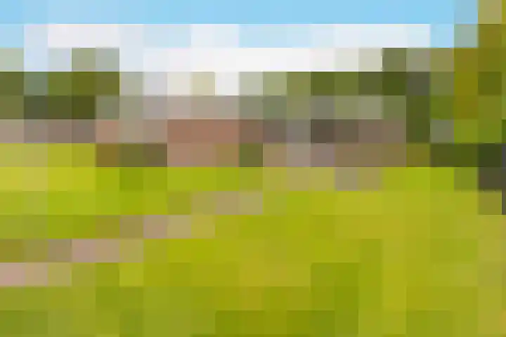 Vossenkamp 11 Winschoten thumbnail 34