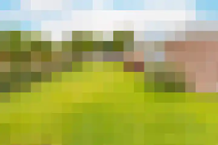Vossenkamp 11 Winschoten thumbnail 35